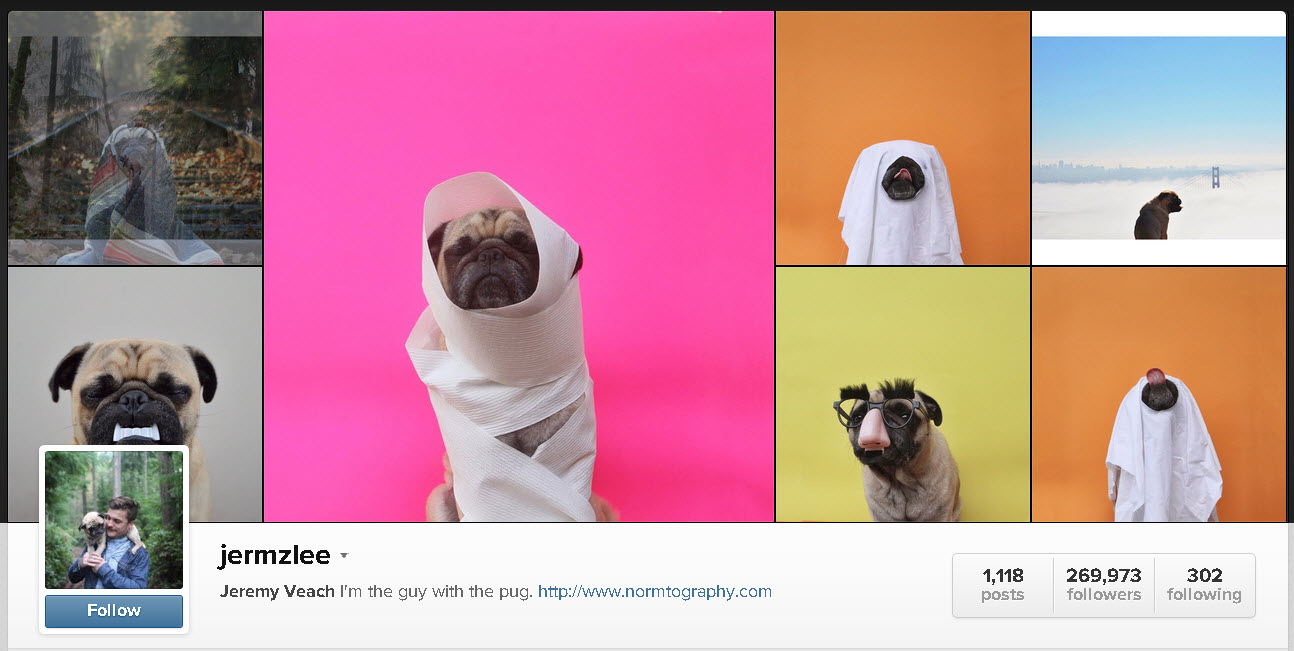 20 Funny Instagram Accounts to Look at When You're Sad (or Bored)