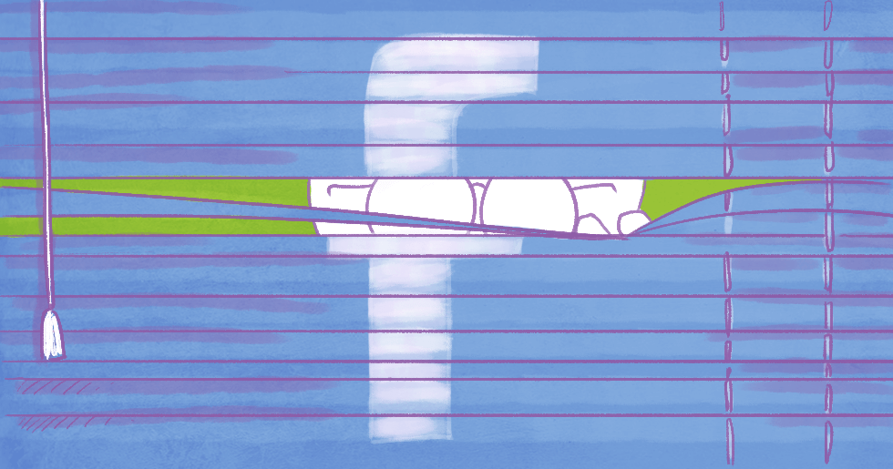 Facebook wants you to double check your privacy settings, again